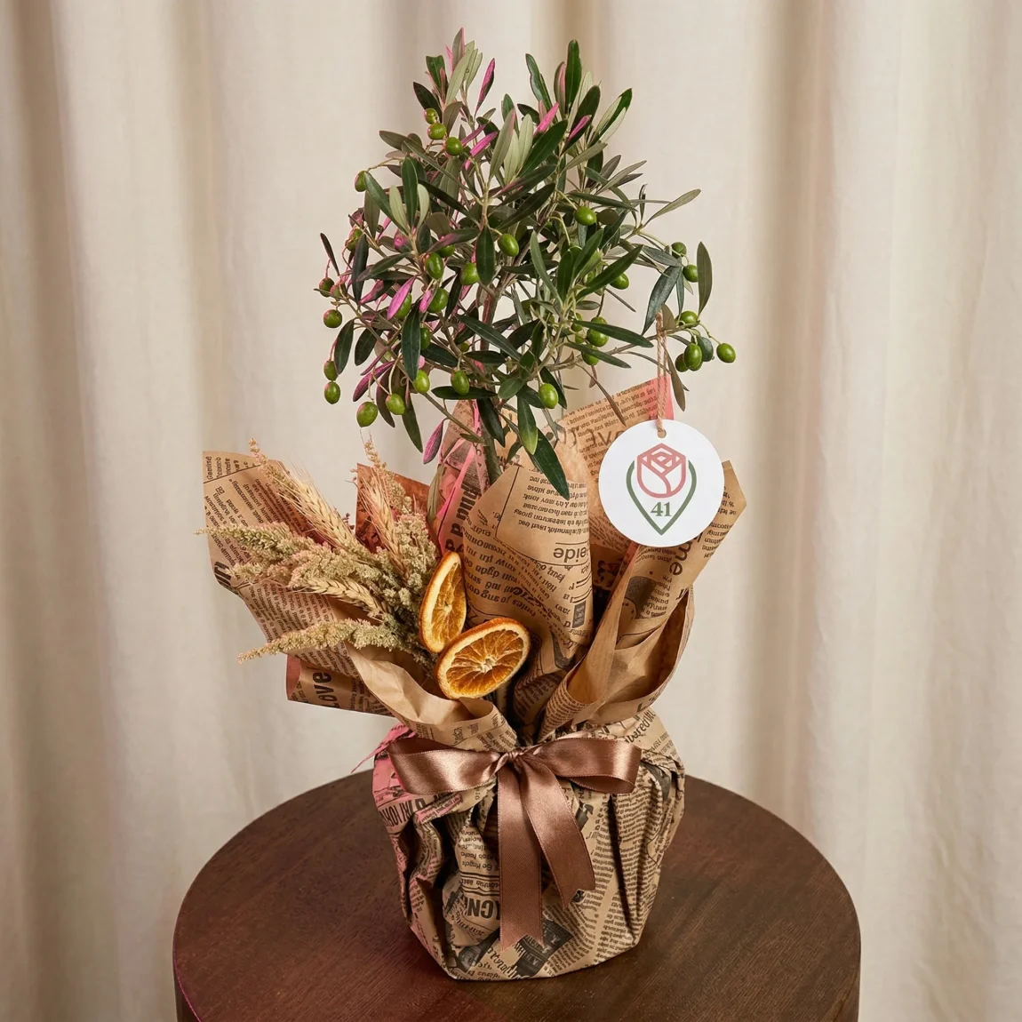 Bereketin Simgesi Zeytin Ağacı 60 Cm