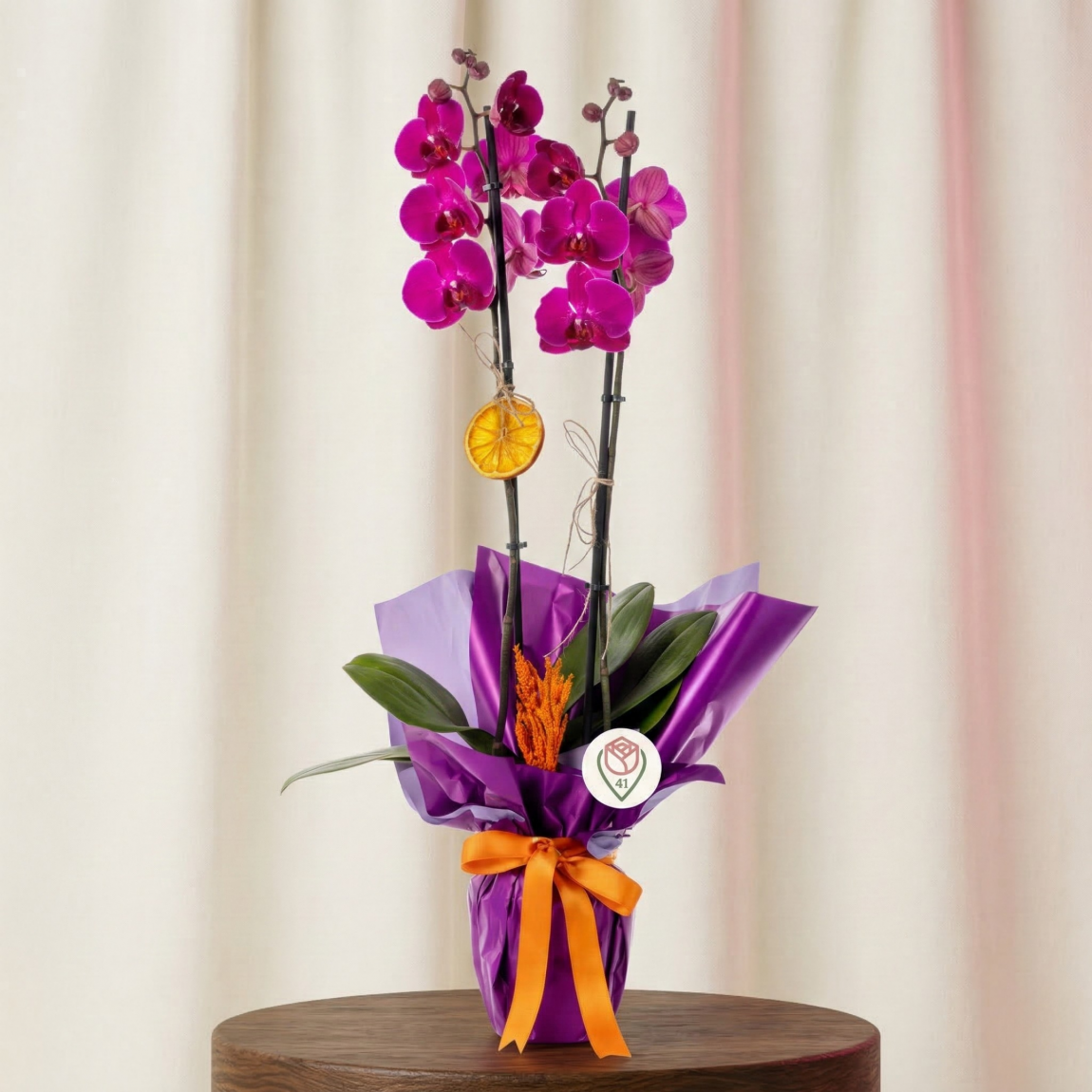Büyüleyici Mor Orkide Buketi