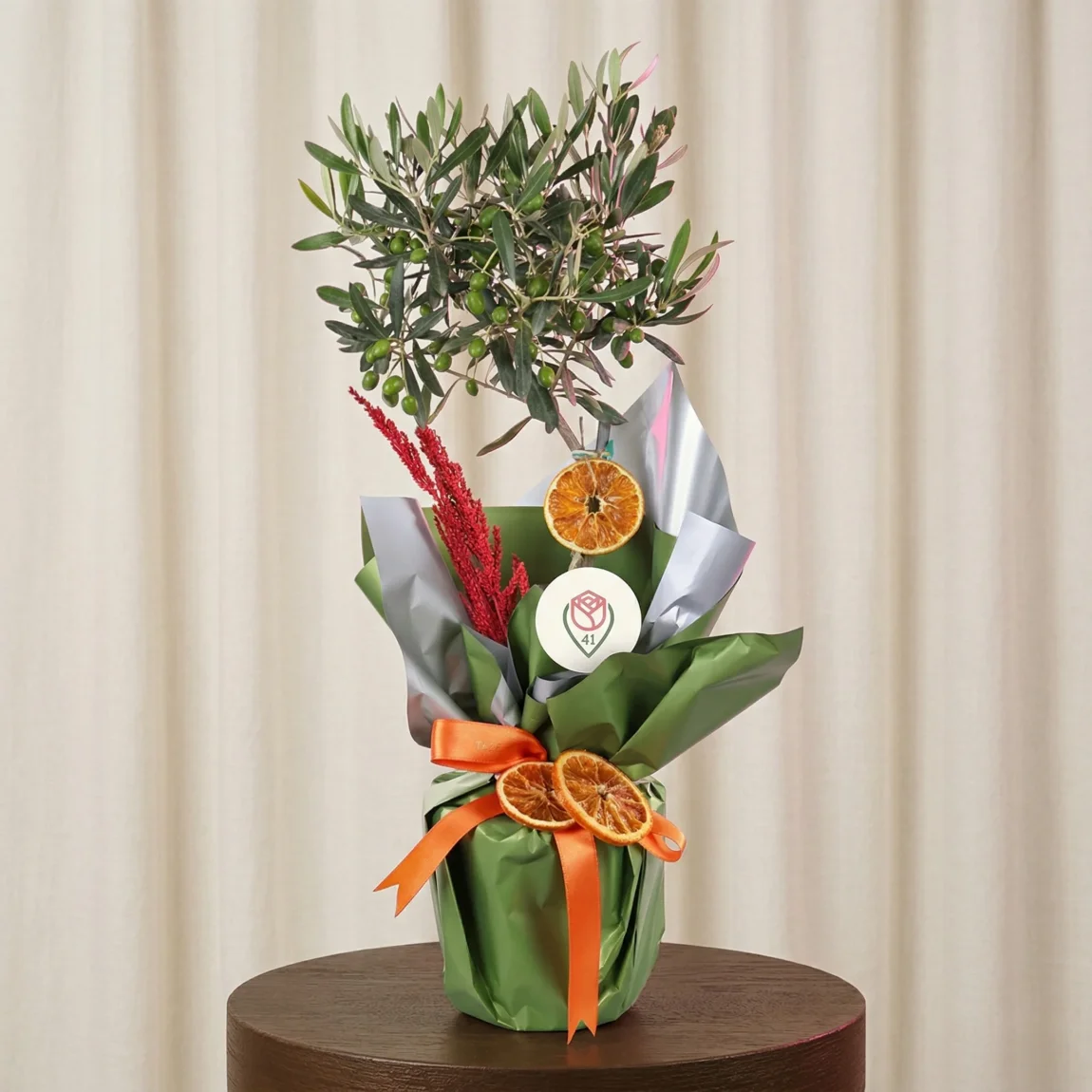 Huzur Zeytin Ağacı 60 Cm