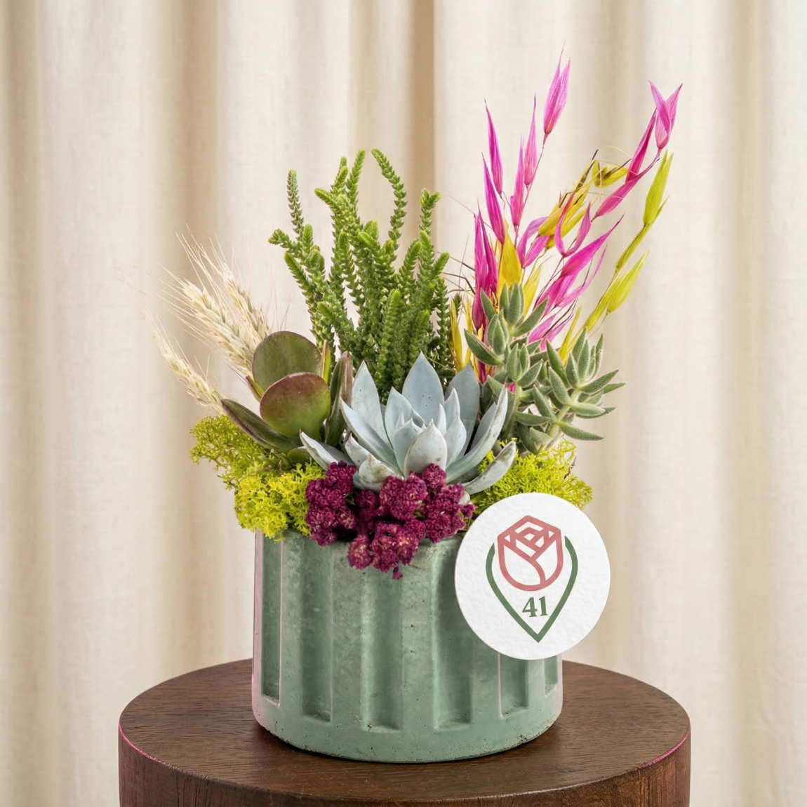 Modern Zümrüt Sukulent Bahçesi