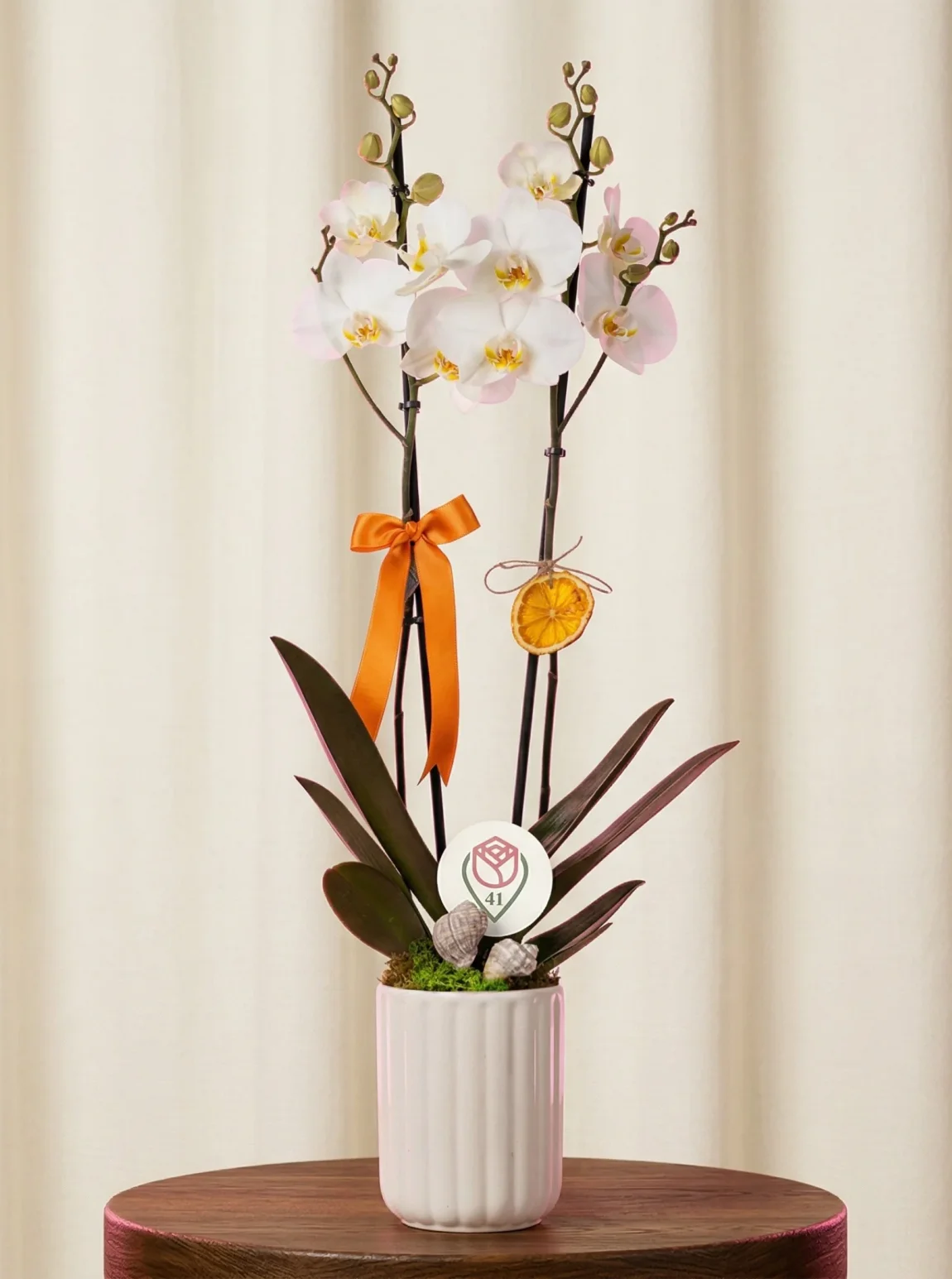 Saf Zarafet Beyaz Orkide