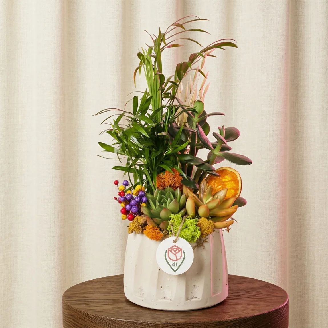 Seramik Sukulent Bahçesi