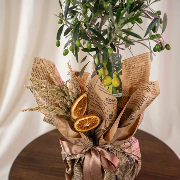 Bereketin Simgesi Zeytin Ağacı 60 Cm