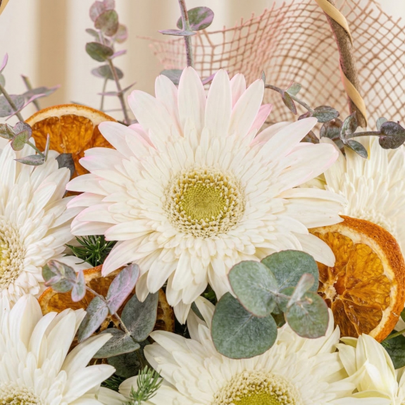 Beyaz Gerbera Masumiyeti