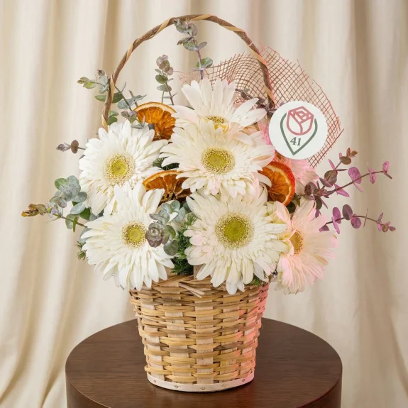 Beyaz Gerbera Masumiyeti