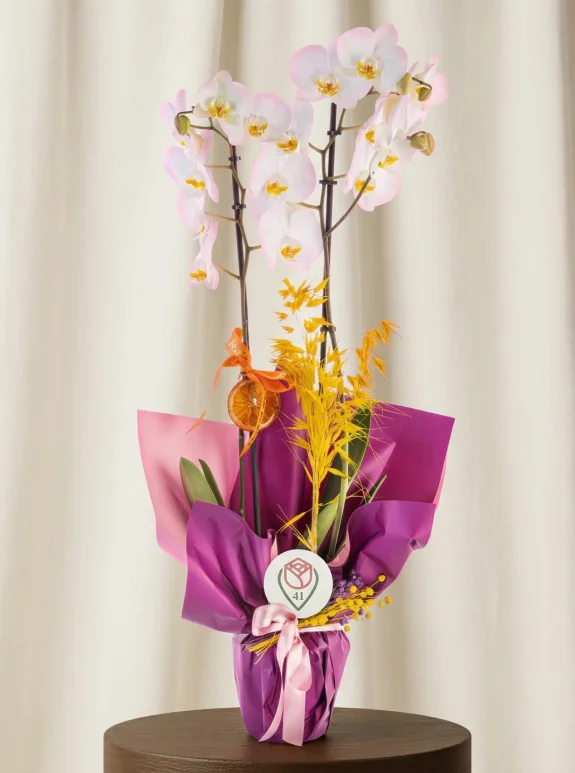 Beyaz Işıltılı Orkide Buketi