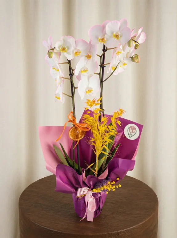 Beyaz Işıltılı Orkide Buketi