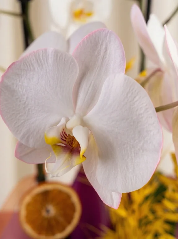 Beyaz Işıltılı Orkide Buketi