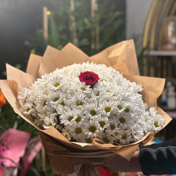 Efsanevi̇ Papatya Buketi̇