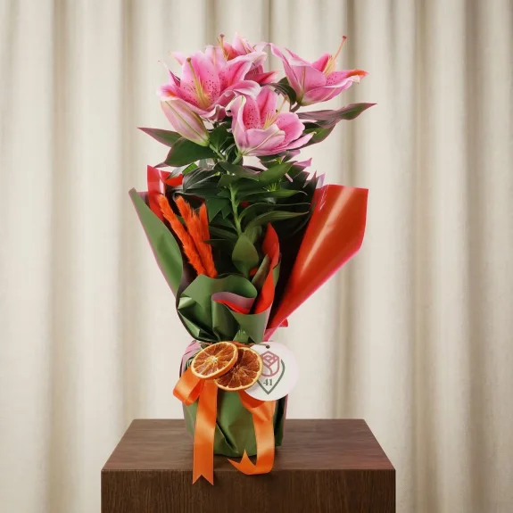 Gün Işığı Lilyum Çiçeği