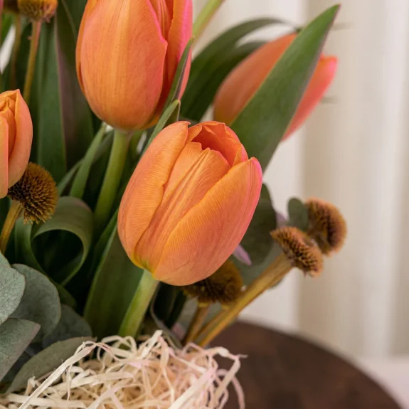 Gün Işığı Turuncu Laleler