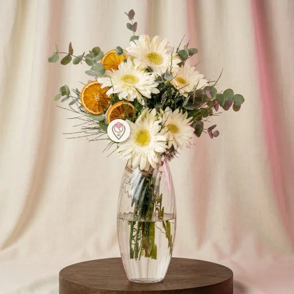 Narin Beyaz Gerbera Melodisi