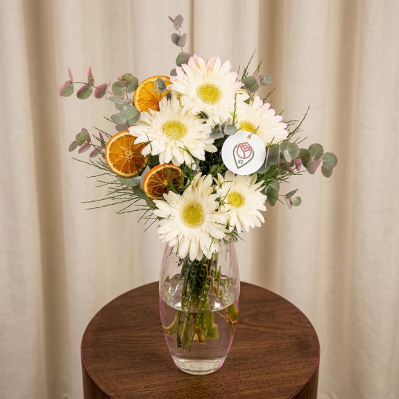 Narin Beyaz Gerbera Melodisi