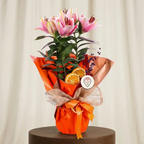 Pembe Lilyum Bahçesi