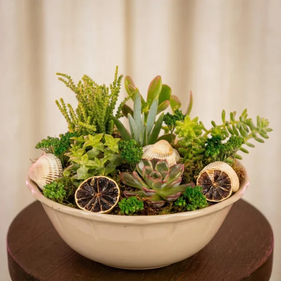 Sahil Esintili Sukulent Bahçesi