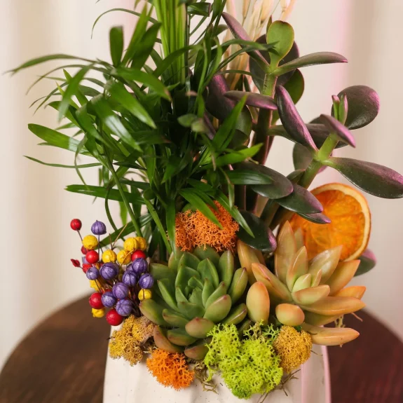 Seramik Sukulent Bahçesi