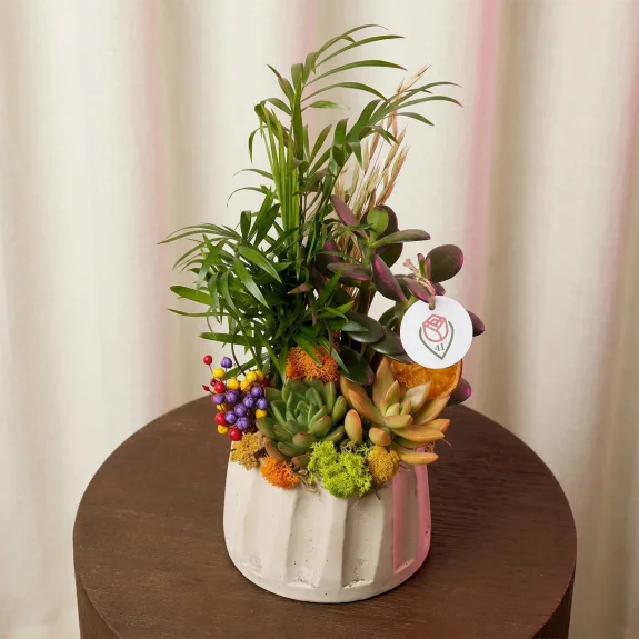 Seramik Sukulent Bahçesi