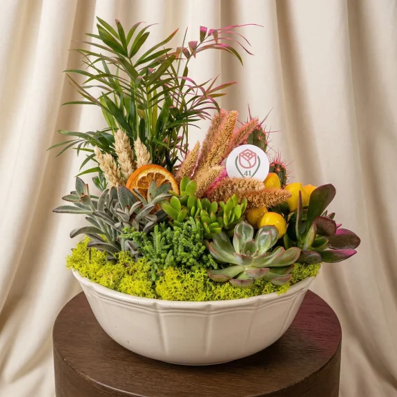 Tropikal Esintili Sukulent Bahçesi