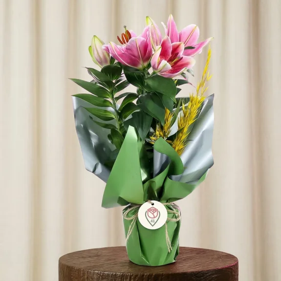 Zarif Pembe Lilyum Bahçesi