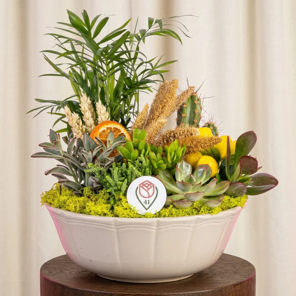 Tropikal Esintili Sukulent Bahçesi