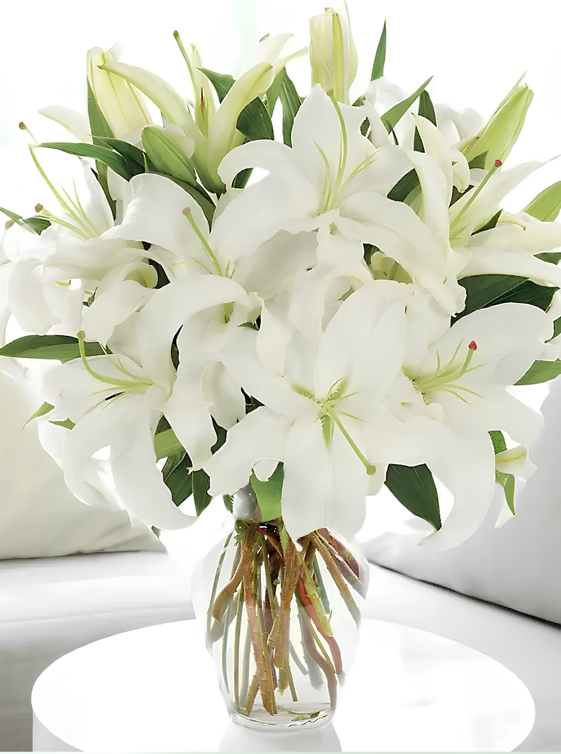 Vazoda Büyük Boy Lilyumlar