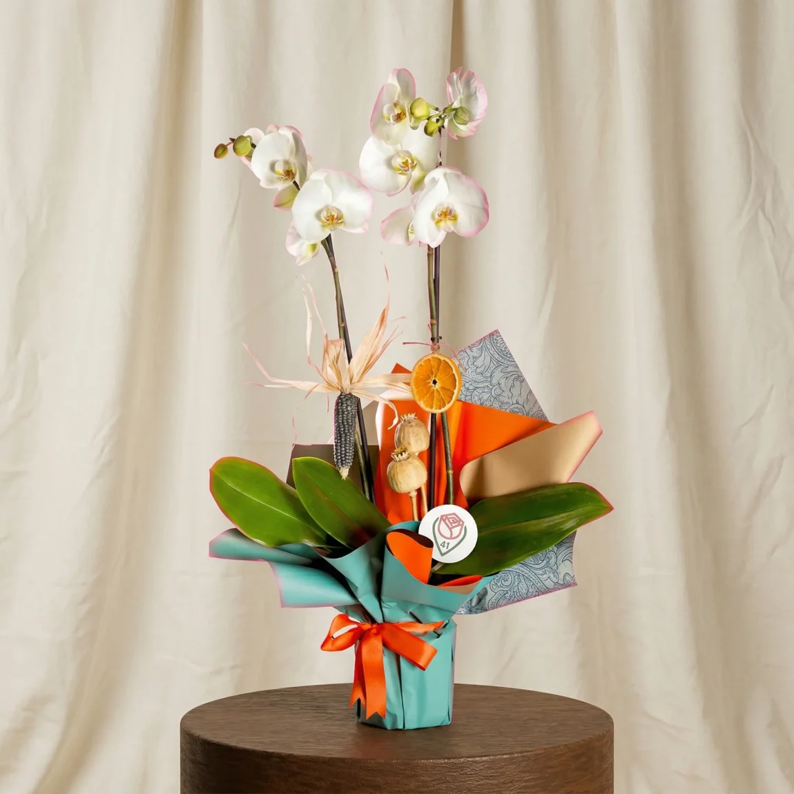 Zarif Beyaz Rüya Orkide